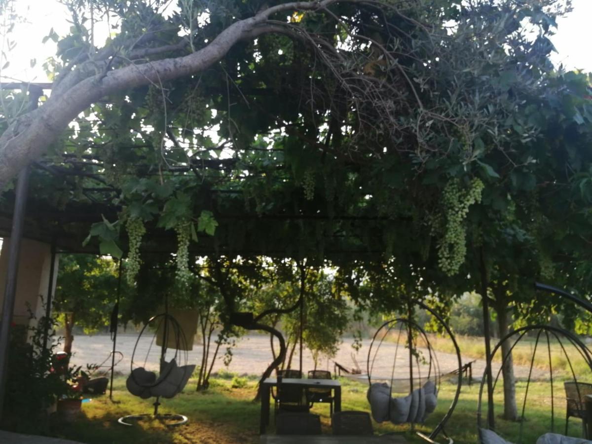 Airport Guest House Dalaman Ngoại thất bức ảnh